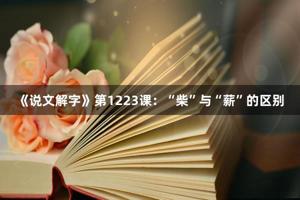 《说文解字》第1223课：“柴”与“薪”的区别