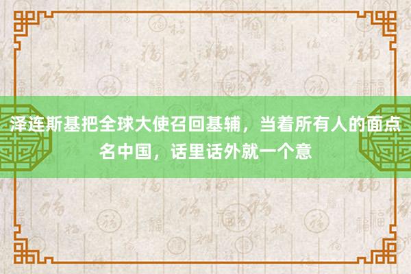 泽连斯基把全球大使召回基辅，当着所有人的面点名中国，话里话外就一个意