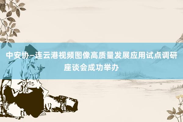 中安协—连云港视频图像高质量发展应用试点调研座谈会成功举办
