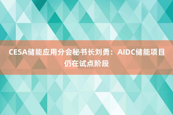 CESA储能应用分会秘书长刘勇：AIDC储能项目仍在试点阶段