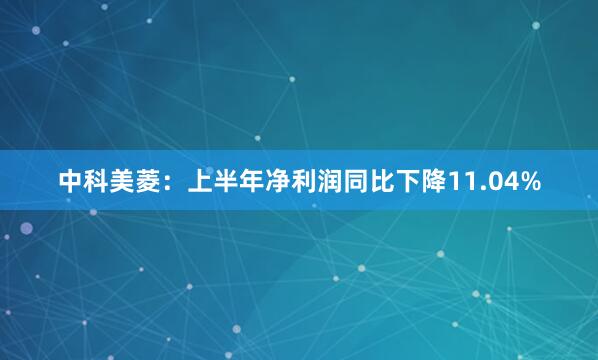 中科美菱：上半年净利润同比下降11.04%
