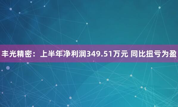 丰光精密：上半年净利润349.51万元 同比扭亏为盈