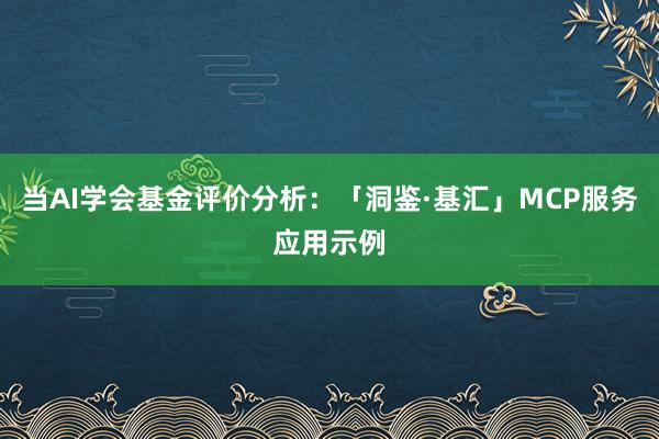 当AI学会基金评价分析：「洞鉴·基汇」MCP服务应用示例