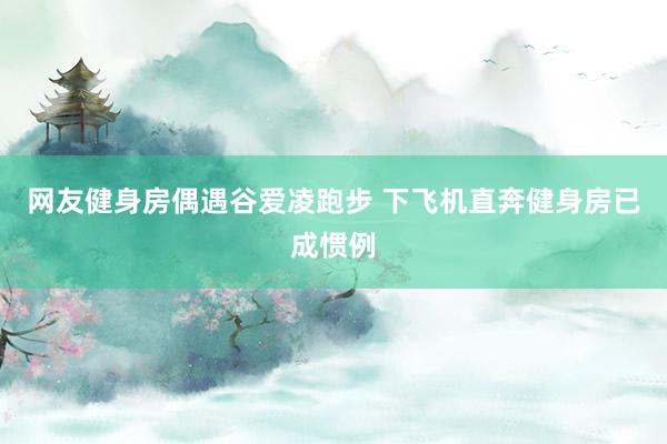 网友健身房偶遇谷爱凌跑步 下飞机直奔健身房已成惯例