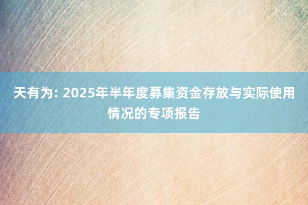 天有为: 2025年半年度募集资金存放与实际使用情况的专项报告