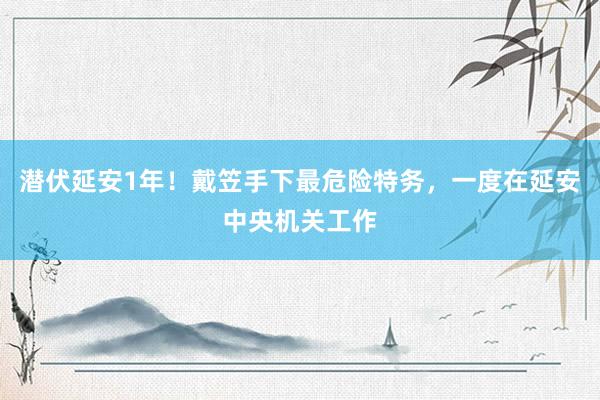 潜伏延安1年！戴笠手下最危险特务，一度在延安中央机关工作