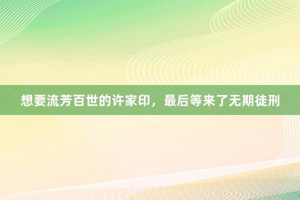 想要流芳百世的许家印，最后等来了无期徒刑