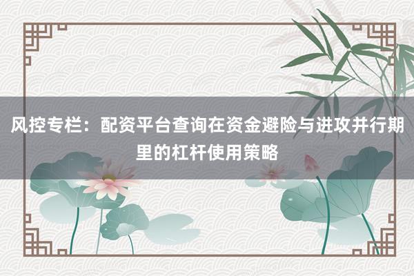 风控专栏：配资平台查询在资金避险与进攻并行期里的杠杆使用策略