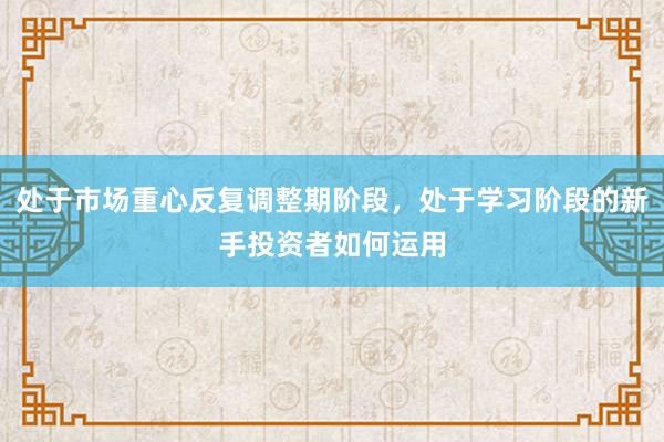 处于市场重心反复调整期阶段，处于学习阶段的新手投资者如何运用