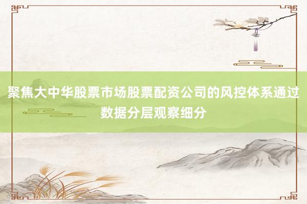 聚焦大中华股票市场股票配资公司的风控体系通过数据分层观察细分