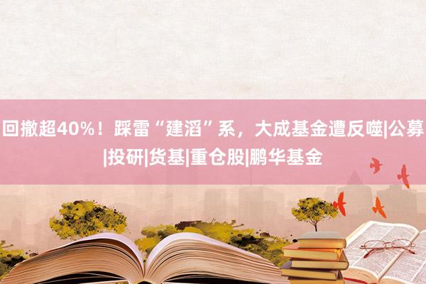 回撤超40%！踩雷“建滔”系，大成基金遭反噬|公募|投研|货基|重仓股|鹏华基金