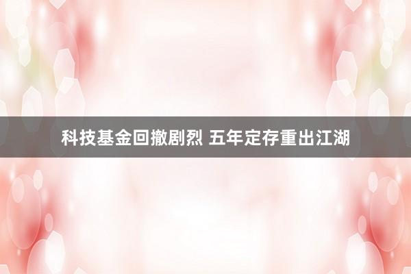 科技基金回撤剧烈 五年定存重出江湖