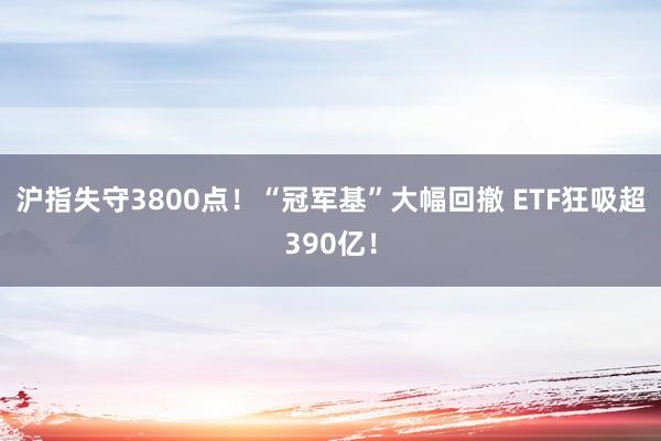 沪指失守3800点！“冠军基”大幅回撤 ETF狂吸超390亿！