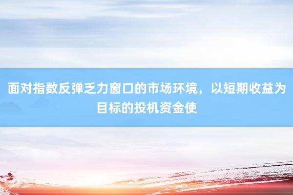 面对指数反弹乏力窗口的市场环境，以短期收益为目标的投机资金使