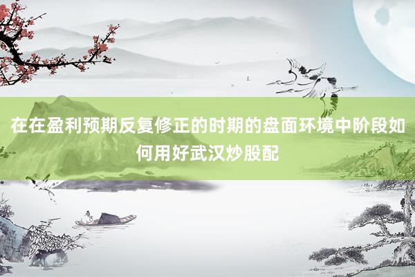 在在盈利预期反复修正的时期的盘面环境中阶段如何用好武汉炒股配