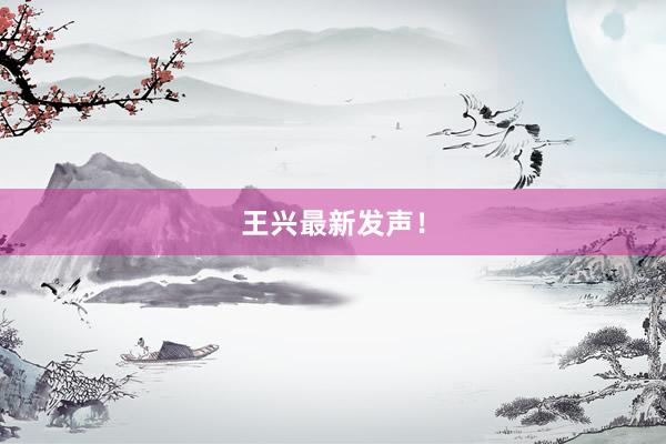 王兴最新发声！