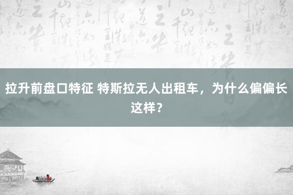 拉升前盘口特征 特斯拉无人出租车，为什么偏偏长这样？