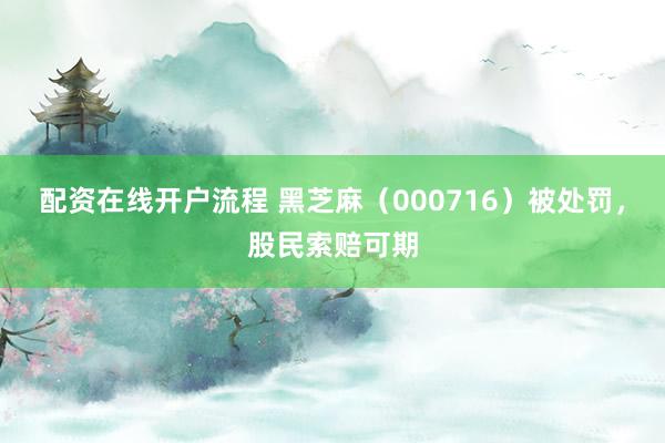 配资在线开户流程 黑芝麻（000716）被处罚，股民索赔可期