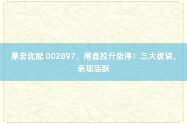 鼎宏优配 002897，尾盘拉升涨停！三大板块，表现活跃