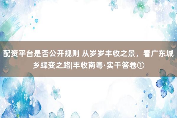 配资平台是否公开规则 从岁岁丰收之景，看广东城乡蝶变之路|丰收南粤·实干答卷①