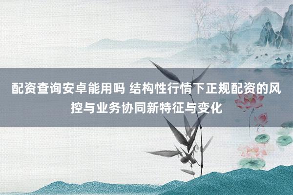 配资查询安卓能用吗 结构性行情下正规配资的风控与业务协同新特征与变化