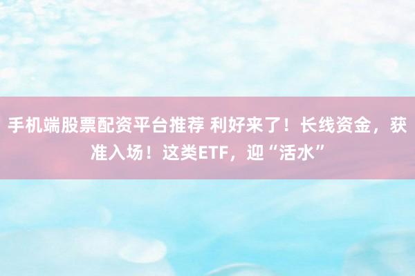 手机端股票配资平台推荐 利好来了！长线资金，获准入场！这类ETF，迎“活水”