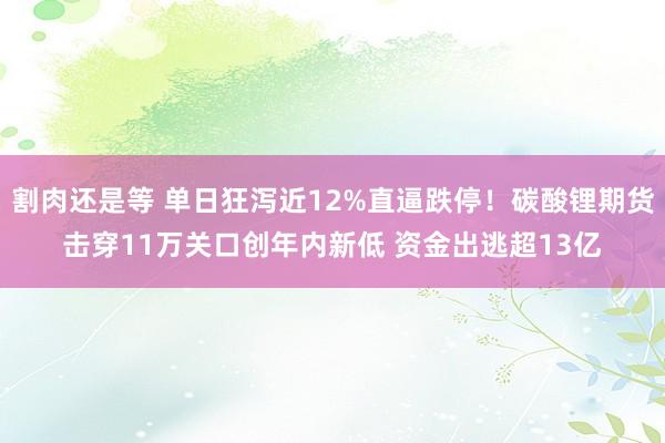 割肉还是等 单日狂泻近12%直逼跌停！碳酸锂期货击穿11万关口创年内新低 资金出逃超13亿
