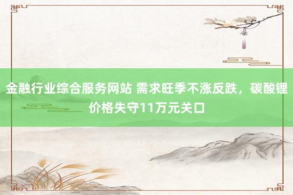 金融行业综合服务网站 需求旺季不涨反跌，碳酸锂价格失守11万元关口