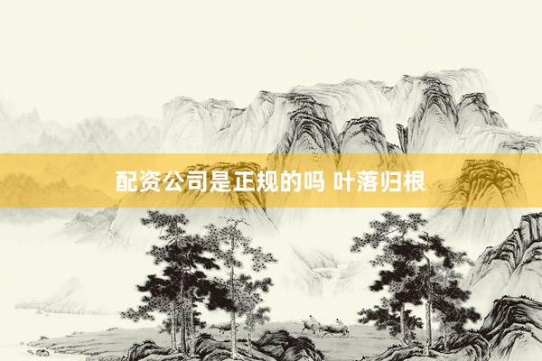 配资公司是正规的吗 叶落归根